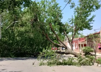 Alerta por tormentas y Zonda: estas son las zonas afectadas de Mendoza