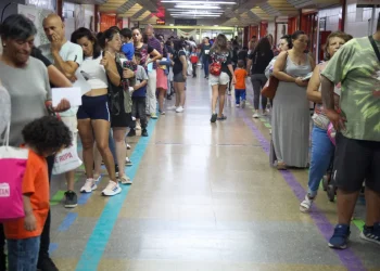 Despidieron a cinco estatales: violencia de género, certificados truchos e inasistencias