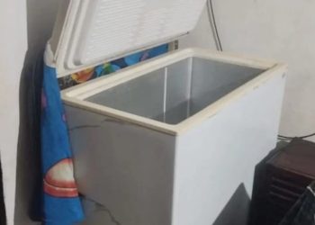 Dieron a conocer los resultados de la autopsia al cuerpo de adolescente hallado dentro de un freezer