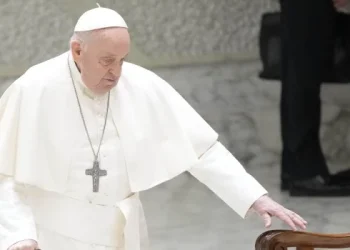 El Papa mostró una mejoría de su salud en la audiencia general