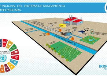 Buscan crear humedales artificiales con una mínima inversión para tratar efluentes industriales y domésticos para reutilizar el agua