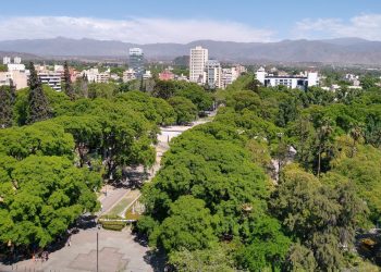 Arbolado mendocino: la Ciudad de Mendoza recibió un premio de nivel internacional por su forestación y cuidado