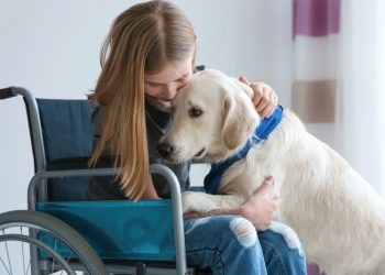 Propuesta de internaciones pediátricas ‘Pet Friendly’: un avance para la mejora terapéutica con «patas»