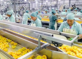 Industria frutícola: “Estamos en desigualdad de condiciones a la hora de competir con el mercado externo”