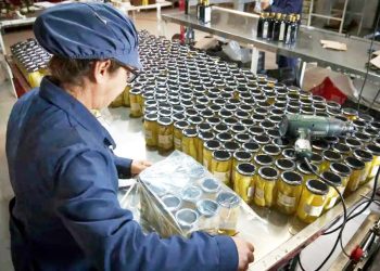 Preocupación en el sector empresarial mendocino ante el complejo escenario político nacional