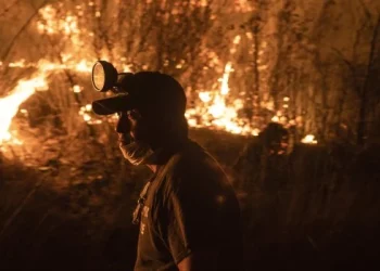 Sequía: se registraron incendios forestales en al menos 15 estados de México