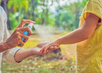 Prevención del dengue: recomendaciones de un experto ante el aumento de casos