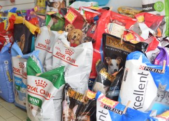 Así aumentó el precio de los alimentos para mascotas en Mendoza