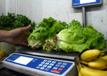 El insólito precio de la lechuga: en algunos comercios se vende a $8000 el kilo