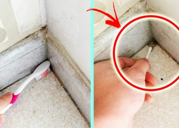 Los mejores consejos para limpiar pequeños rincones donde se acumula polvo y suciedad