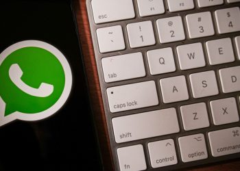 WhatsApp: en qué se diferencian el «Visto» y el «Leído en la aplicación de mensajería instantánea