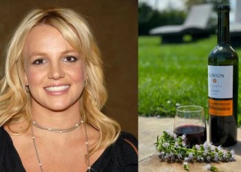 Britney Spears se mostró fascinada con un vino mendocino: cuál es y cuánto cuesta