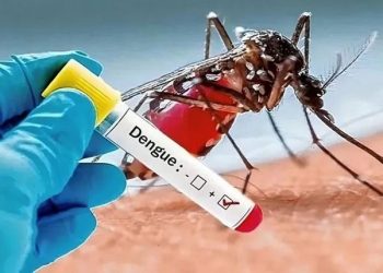 Dengue: el Gobierno monitorea a Brasil y evalúa vacunar de manera focalizada en los próximos meses