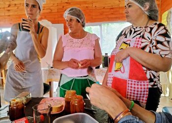 Se realizó un intercambio de saberes entre productoras de Punta del Aguay El Trapiche, San Luis