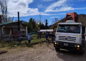 Árboles caídos y cables cortados: lo que dejó el Zonda en Mendoza