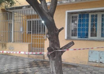 Provincia de Córdoba: hallaron otro cadáver dentro de un freezer