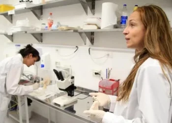 Desde el Malbrán advierten que los «mosquitos muestran resistencia a los insecticidas»