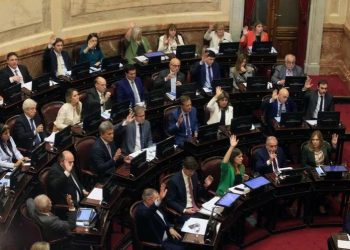 Aumento de dietas en Senadores: «Cuando tenían que hablar en el recinto no lo hicieron. Las declaraciones en X son fulbito para la tribuna»
