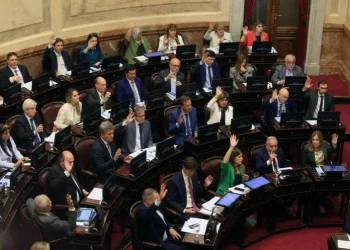 Los senadores tienen 1132 asesores que cuestan al menos $840 millones por mes y hay dudas sobre sus funciones