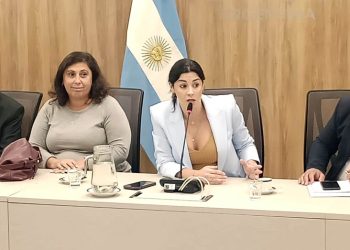 Diputados: tras un escándalo, la comisión de Juicio Político designó a Pagano como presidenta