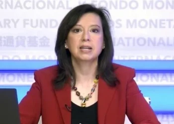 El FMI insta a Milei a generar apoyo social y político para la eficacia de sus reformas