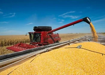 El campo liquidó en marzo exportaciones por US$1.501 millones, un 22% más que en 2023