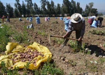 Coninagro informó que el 70% de las economías regionales están en una situación crítica