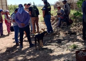 La Subsecretaría de Trabajo y Empleo realizó más de 200 inspecciones en toda la provincia