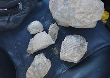 Gendarmería secuestró piedras y tecnología de contrabando