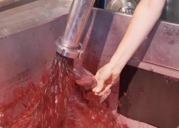 Continúa el malestar por la decisión de la bodega Peñaflor de importar 5 millones de litros de vino a granel