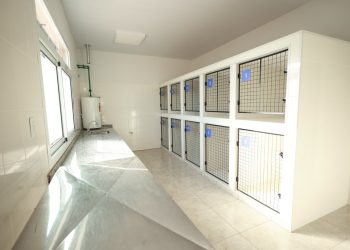 Bienestar animal: detalles del nuevo edificio veterinario que es modelo en la provincia