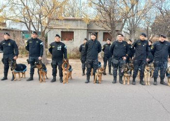 Héroes de cuatro patas: el Cuerpo de Canes de la Policía cumplió 46 años en San Rafael