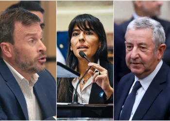 Ley Bases: el planteo de los radicales mendocinos para que Milei avance con dos reformas claves