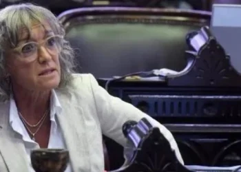 Mónica Frade: «En el oficialismo están preocupados por sacar esta ley, pero el Presidente dice que le da lo mismo»