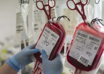 Sangre “segura”: el plan provincial para que los hospitales públicos y privados tengan las mismas normas en hemoterapia