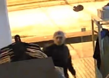 Mirá los videos: a menos de una semana de inaugurarse, robaron un local en pleno centro