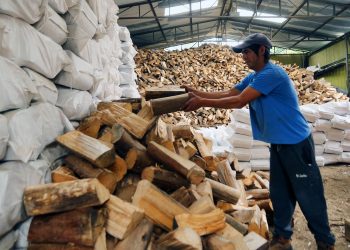 El resurgimiento de la leña para calefaccionar: el kilo de algarrobo se vende alrededor de los $150