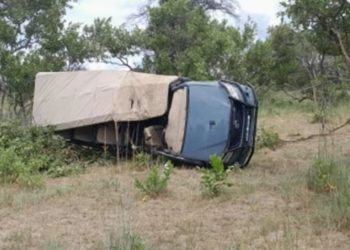 Tragedia en un safari: un elefante atacó a un grupo de turistas y mató a una mujer de 80 años en Zambia