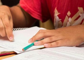 Compromiso con el saber: buscan voluntarios para sumarse a las “brigadas educativas”