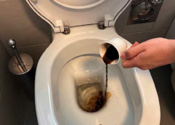 Por qué muchas personas arrojan una taza de café al inodoro