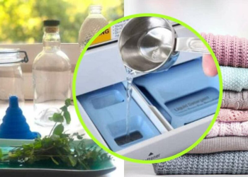 Cómo hacer un suavizante casero para ropa con aroma a menta