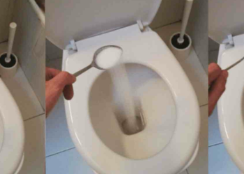 Por qué aconsejan echar sal en los sanitarios