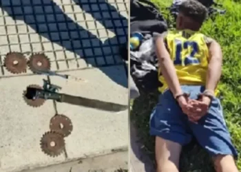 “Soy Dios y voy a matar al Presidente”: un hombre quiso entrar a la Casa Rosada con un machete y fue detenido