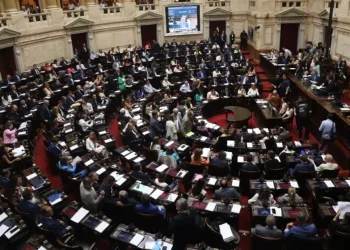 Ley Bases: la oposición dialoguista teme una votación en particular caótica si no se revisa punto por punto el articulado