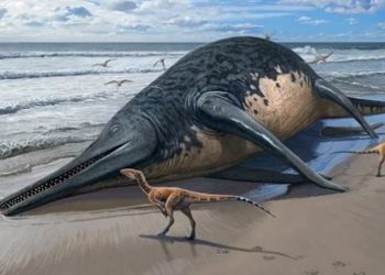 Encontraron fósiles de un gigantesco reptil marino