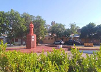 Vecinos solidarios se sumaron para reforestar una plazoleta emblemática del barrio Unimev