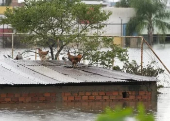 Suben a 152 los muertos por temporales e inundaciones en el sur de Brasil