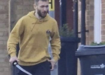 Pantallazo europeo: desafíos políticos, económicos y de seguridad en el Viejo Continente