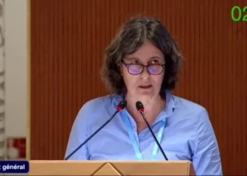 Tratado pandémico y enmiendas al RSI: qué dijo la Argentina en la Asamblea Mundial de la Salud