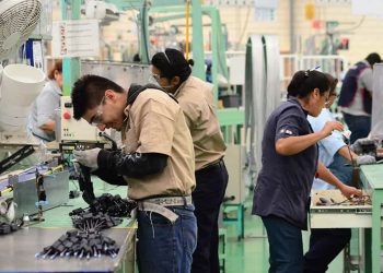 Mercedes Llano: «Es necesario flexibilizar el mercado laboral para fomentar el empleo dentro del sector privado»